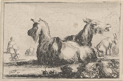 Goats, Stefano della Bella, 1620 - 1664 Canvas Print