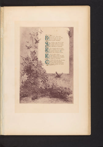 Reproduction of a print of insects and thickets, with the poem Mai by François Coppée, by Hector Giacomelli, Paul Dalloz, c. 1871 - in or before 1876 Canvas Print