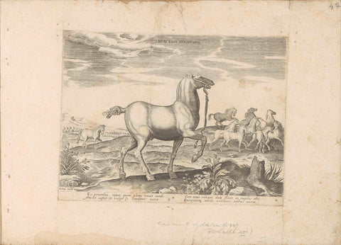 Herd of wild horses, anonymous, 1624 - before 1648 Canvas Print