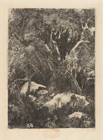 Forest landscape, Rodolphe Bresdin, 1878 - 1880 Canvas Print