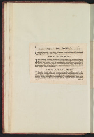 Fig. 5 'De Ocimo' in De Boodt's herbarium of 1640, Anselm Boëtius de Boodt, 1640 Canvas Print