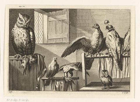 Falcons and owls in a barn, Peter van Liesebetten, 1654 - 1678 Canvas Print