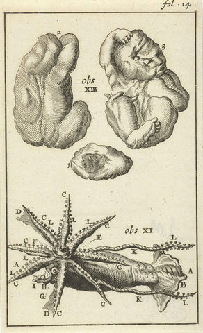 Anatomical image I, Jan Luyken, 1680 - 1688 Canvas Print