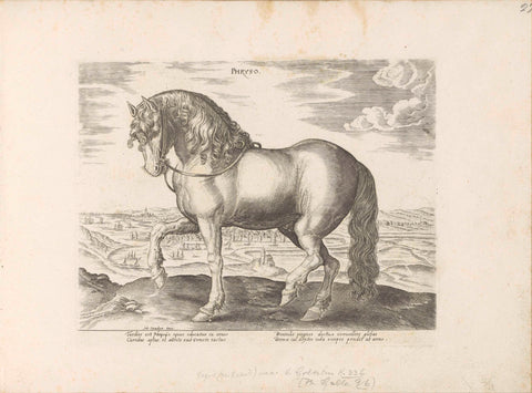 Horse from Friesland, anonymous, 1624 - before 1648 Canvas Print