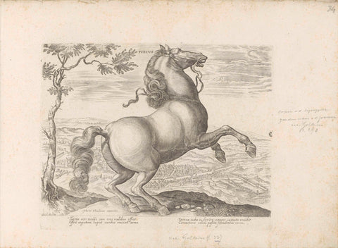 Horse from Tuscany, anonymous, 1624 - before 1648 Canvas Print