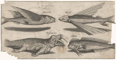 Flying grump, rag, slimefish and a walrus, Pierre Firens, 1600 - 1638 Canvas Print