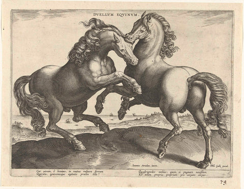 Fighting horses, Hieronymus Wierix (attributed to), c. 1583 - c. 1587 Canvas Print