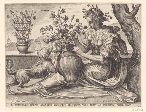 De Reuk (Odoratus), Cornelis Cort, 1561 Canvas Print