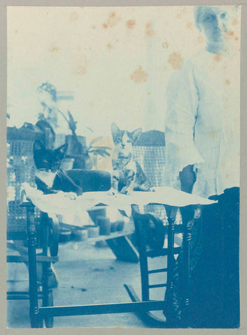 Onze katten, Hendrik Doijer (attributed to), 1906 - 1913 Canvas Print