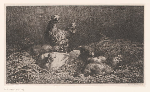 Rooster and chickens in the straw, Charles Emile Jacque, 1864 Canvas Print