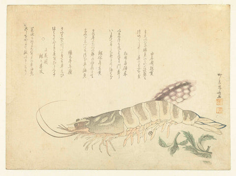 Crayfish and Cuttlefish, Ryûryûkyo Shinsai, c. 1810 - c. 1820 Canvas Print