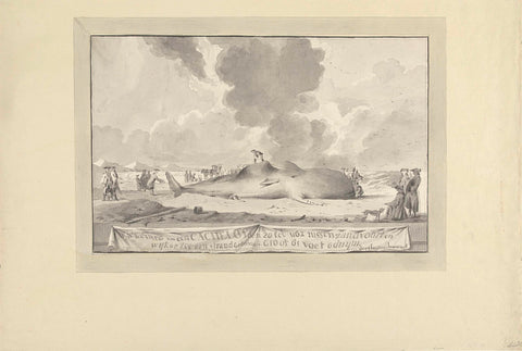 Whale washed ashore between Zandvoort and Wijk aan Zee, 1762, Jacobus Luberti Augustini, 1762 Canvas Print