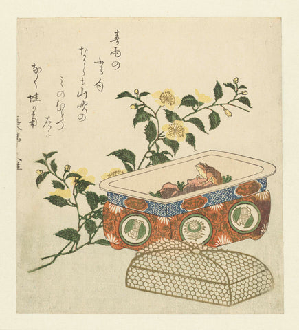 Frog and Spray of Kerria Japonica, Chôtei Hisazumi, c. 1815 - c. 1820 Canvas Print