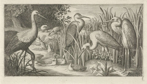 Storks and ducks at a pool, Jan van Londerseel, 1580 - 1625 Canvas Print