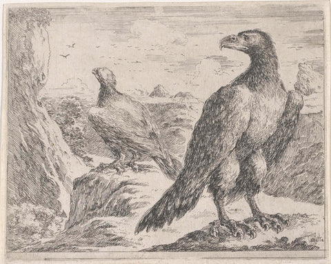 Two eagles, one of which is seen on the back, Stefano della Bella, 1620 - 1664 Canvas Print