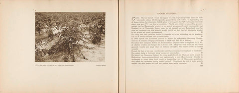 Page 154 and 155 of photo book of the Algemeene Vereeniging of Rubber Planters on the East Coast of Sumatra (AVROS), JW Meyster, c. 1924 - c. 1925 Canvas Print