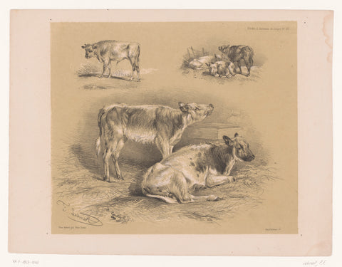 Three studies of cattle, Pierre Frédéric Lehnert, 1838 - 1840 Canvas Print