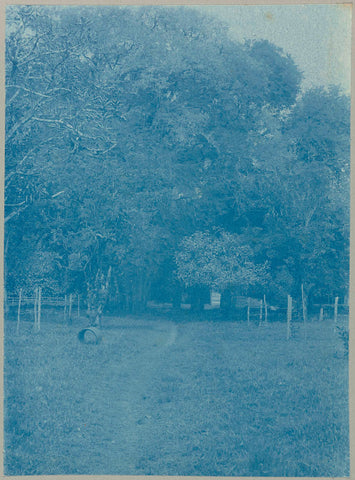 Tamarindegroepen op Tourtonne, Hendrik Doijer (attributed to), 1906 - 1913 Canvas Print