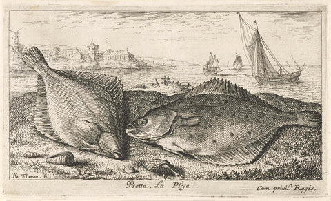 Two flatfish on the beach, Albert Flamen, 1664 Canvas Print