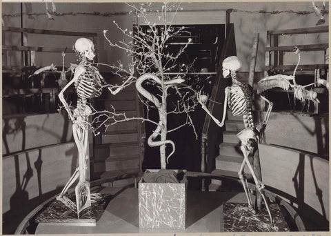 Reconstruction of the Theatrum Anatomicum with two human skeletons and a tree with a snake, c. 1975 Canvas Print