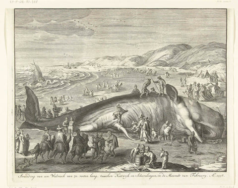 Stranded whale at Berckhey, 1598, Gilliam van der Gouwen, 1730 Canvas Print