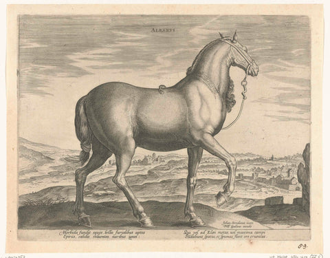 Horse from Albania, Hendrick Goltzius (possibly), c. 1578 - c. 1582 Canvas Print