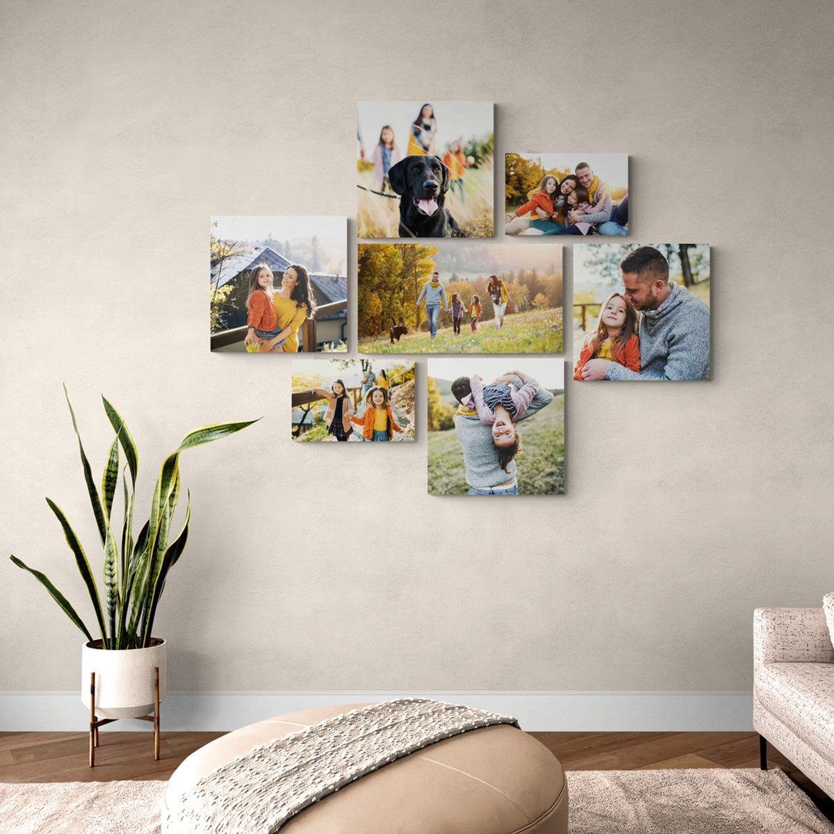 Mingo Canvas Print Wall Display | CanvasPrints.com