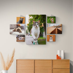 Wildcat Canvas Print Wall Display