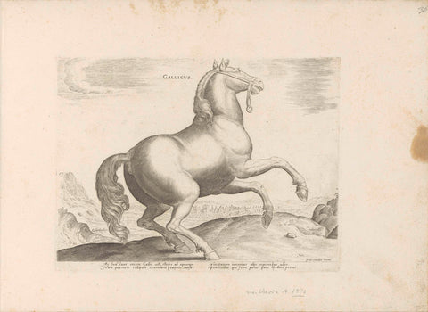 Horse from France, anonymous, 1624 - before 1648 Canvas Print