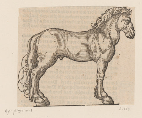 Model for a horse, anonymous, Hans Sebald Beham, 1565 Canvas Print