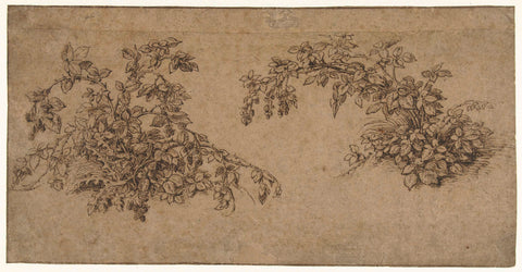 Two brambles, Jacob de Gheyn (II), 1575 - 1625 Canvas Print