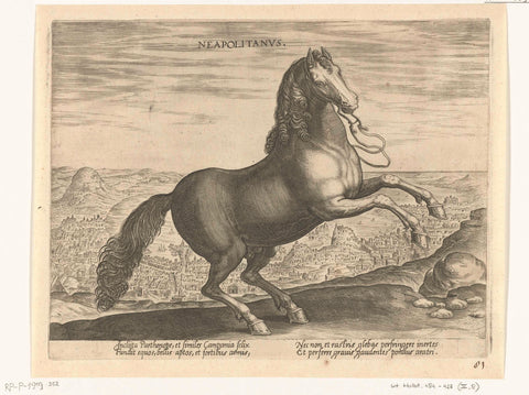 Paard uit Napels, Philips Galle (attributed to workshop of), c. 1578 - c. 1582 Canvas Print