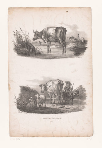 Cows at a pond and shepherdess with cattle, Joseph Louis Leborne, 1828 - 1829 Canvas Print