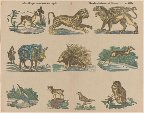 Images of animals and birds / Planche d'animaux et d'oiseaux, Brepols & Dierckx son, 1833 - 1911 Canvas Print