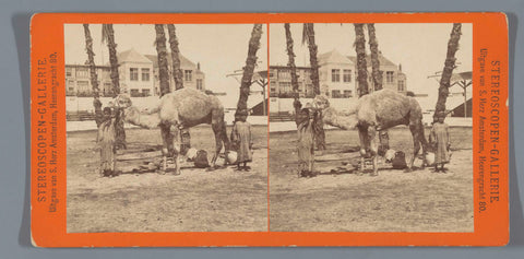 Two Bedouin boys pose with a dromedary on the Weesperzijde, Amsterdam, Sigmund Löw (possibly), 1892 Canvas Print