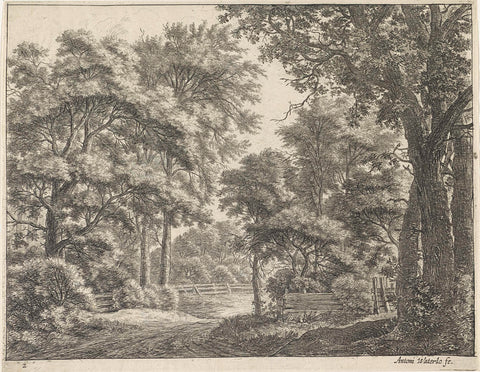 Large Trees on Both Sides of a Path, Anthonie Waterloo, 1630 - 1765 Canvas Print