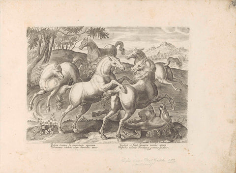 Fighting horses with an overrun horse, anonymous, 1624 - before 1648 Canvas Print