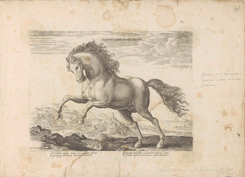 Wild horse, anonymous, 1624 - before 1648 Canvas Print