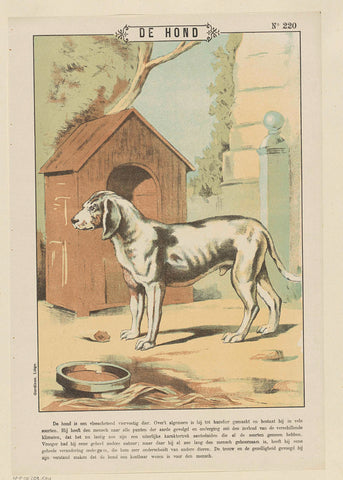 De hond, Gordinne, 1894 - 1959 Canvas Print