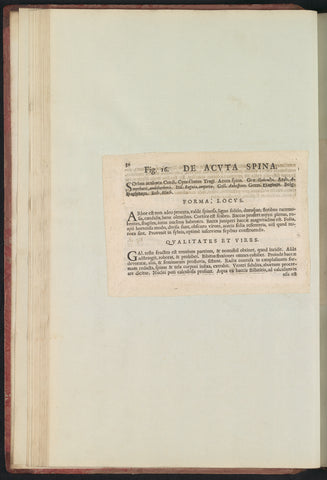 Fig. 16 'De Acvta Spina' in De Boodts herbarium of 1640, Anselmus Boëtius de Boodt, 1640 Canvas Print