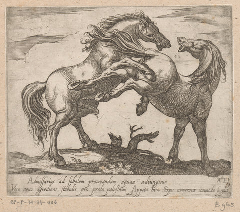 Two mating horses, Antonio Tempesta, 1590 Canvas Print