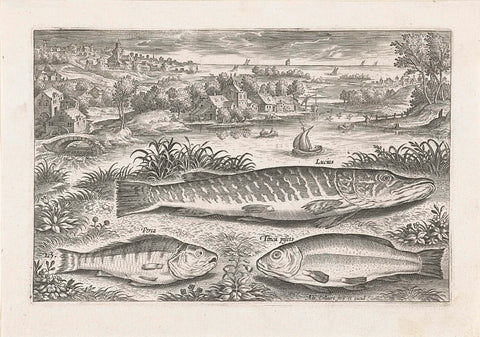 Three fish on a bank, Adriaen Collaert, after 1598 - 1618 Canvas Print