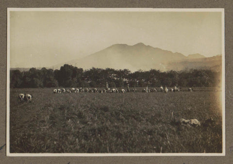 People in a potato field at Lembang, anonymous, 1920 Canvas Print