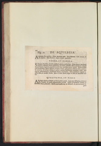 Fig. 51 'De Aqvilegia' in De Boodt's herbarium of 1640, Anselmus Boëtius de Boodt, 1640 Canvas Print