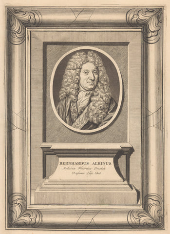 Portrait of Bernhard Albinus-Weiss, anonymous, 1715 - 1730 Canvas Print