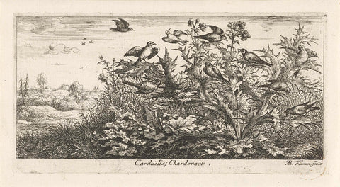 Landscape with goldfinches in thistle, Albert Flamen, 1648 - 1692 Canvas Print