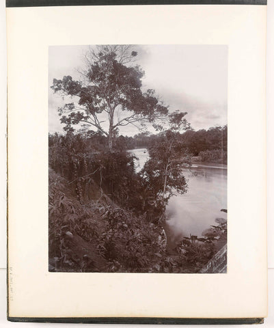 View along the bank of the river Wampoe, Sumatra (Wampoe Fluss), Stafhell & Kleingrothe, c. 1890 - 1900 Canvas Print