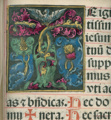 Initial T (Zahltafel) with owl and edge decoration of grapes and leaf motifs, Jörg Breu (I), c. 1495 - before 1503 Canvas Print