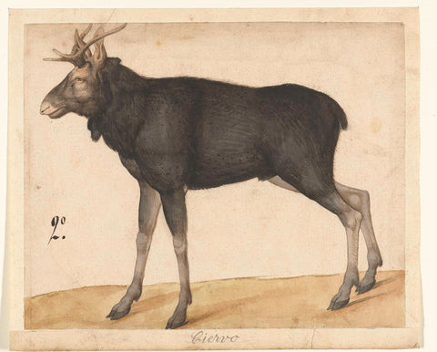 Eland, anonymous, 1550 - 1570 Canvas Print