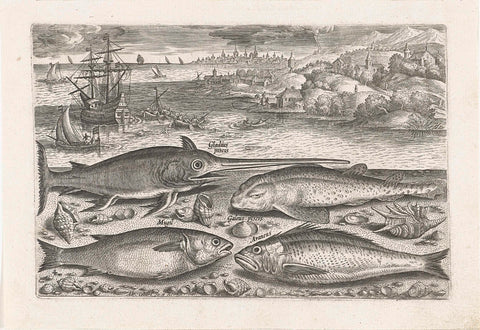 Four fish on the beach, Adriaen Collaert, after 1598 - 1618 Canvas Print